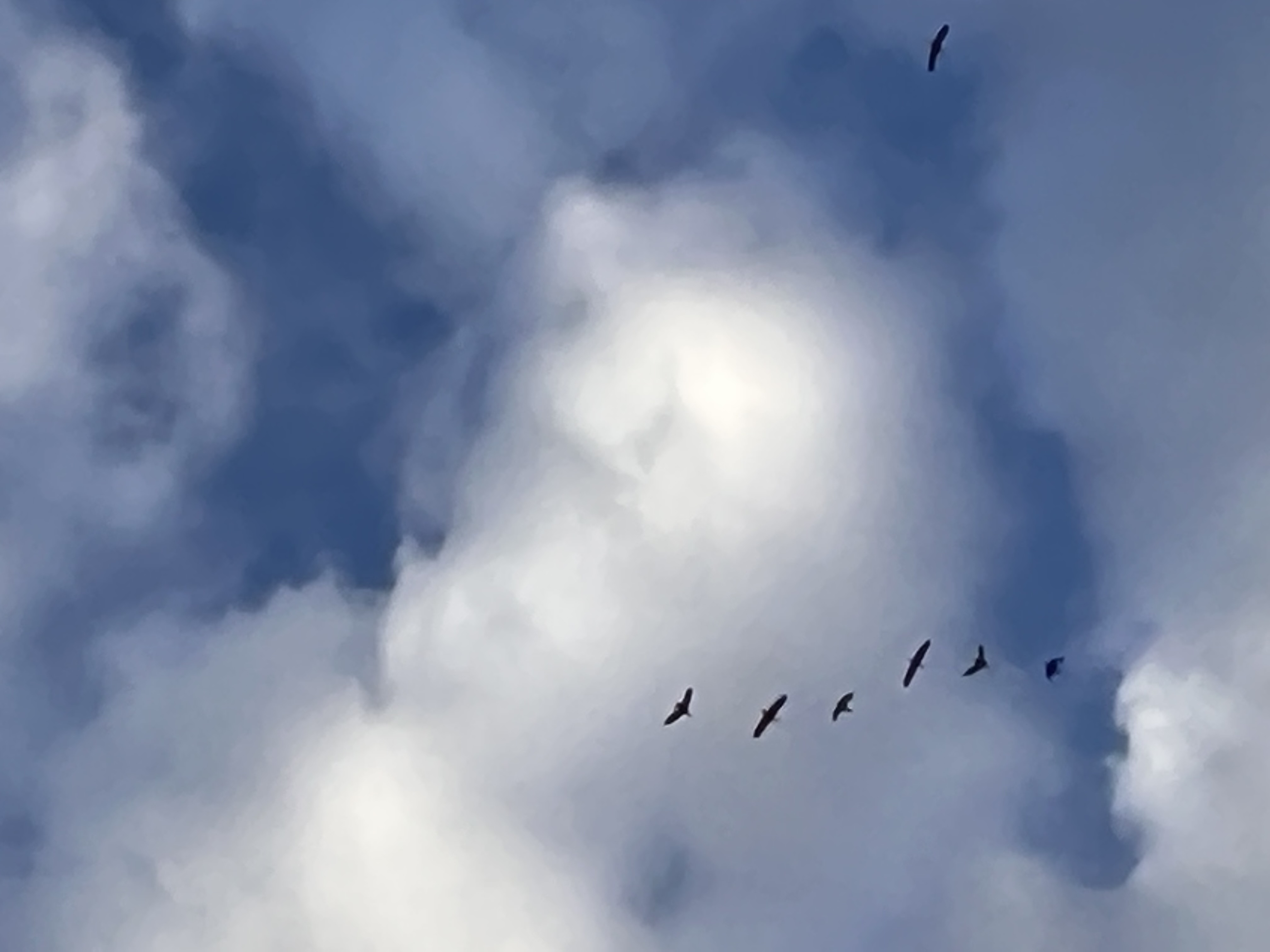 ./2023/01 - New Bern/IMG_6130.JPG